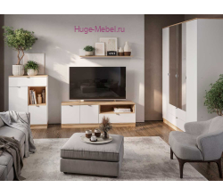 Стенка в гостиную "Юкки" К2