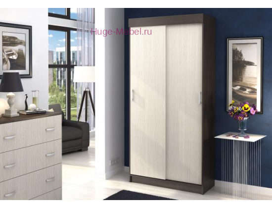 Шкаф-купе Андрей Евро венге/дуб